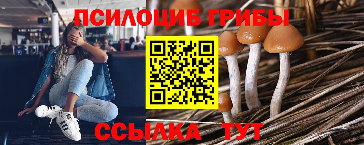 Псилоцибиновые грибы прущие грибы  Вход с VPN  Аксай 